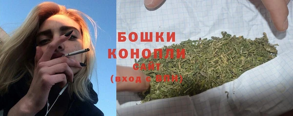ГАЛЛЮЦИНОГЕННЫЕ ГРИБЫ Арсеньев
