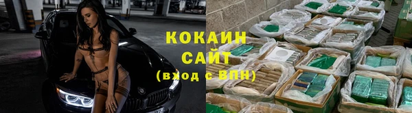 ГАЛЛЮЦИНОГЕННЫЕ ГРИБЫ Арсеньев