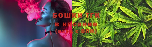 прущие грибы Балабаново